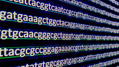 New no-code tools for startup product development 2026