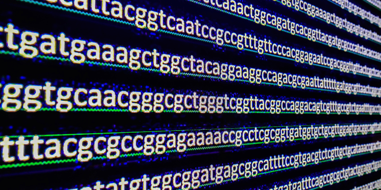 New no-code tools for startup product development 2026